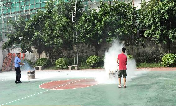 1523952729341155.jpg 52.jpg